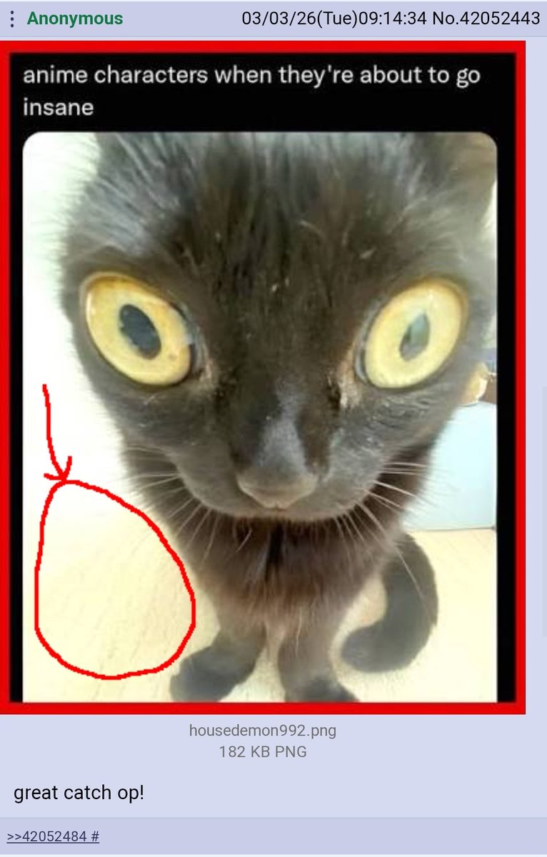 /x/ Takes - Kino™ Edition (@_x_takes_) on Twitter photo 