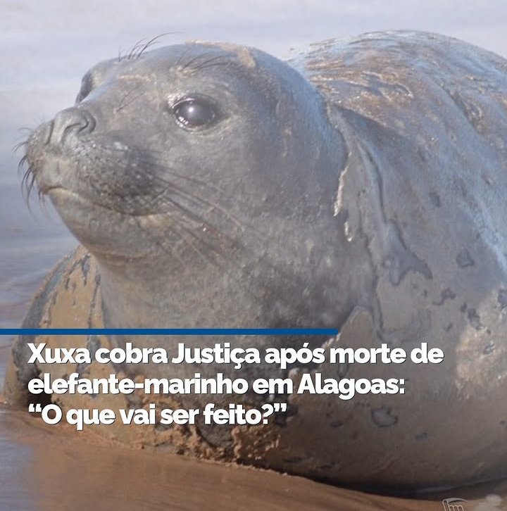 Lola 🧠🎯 tweet media