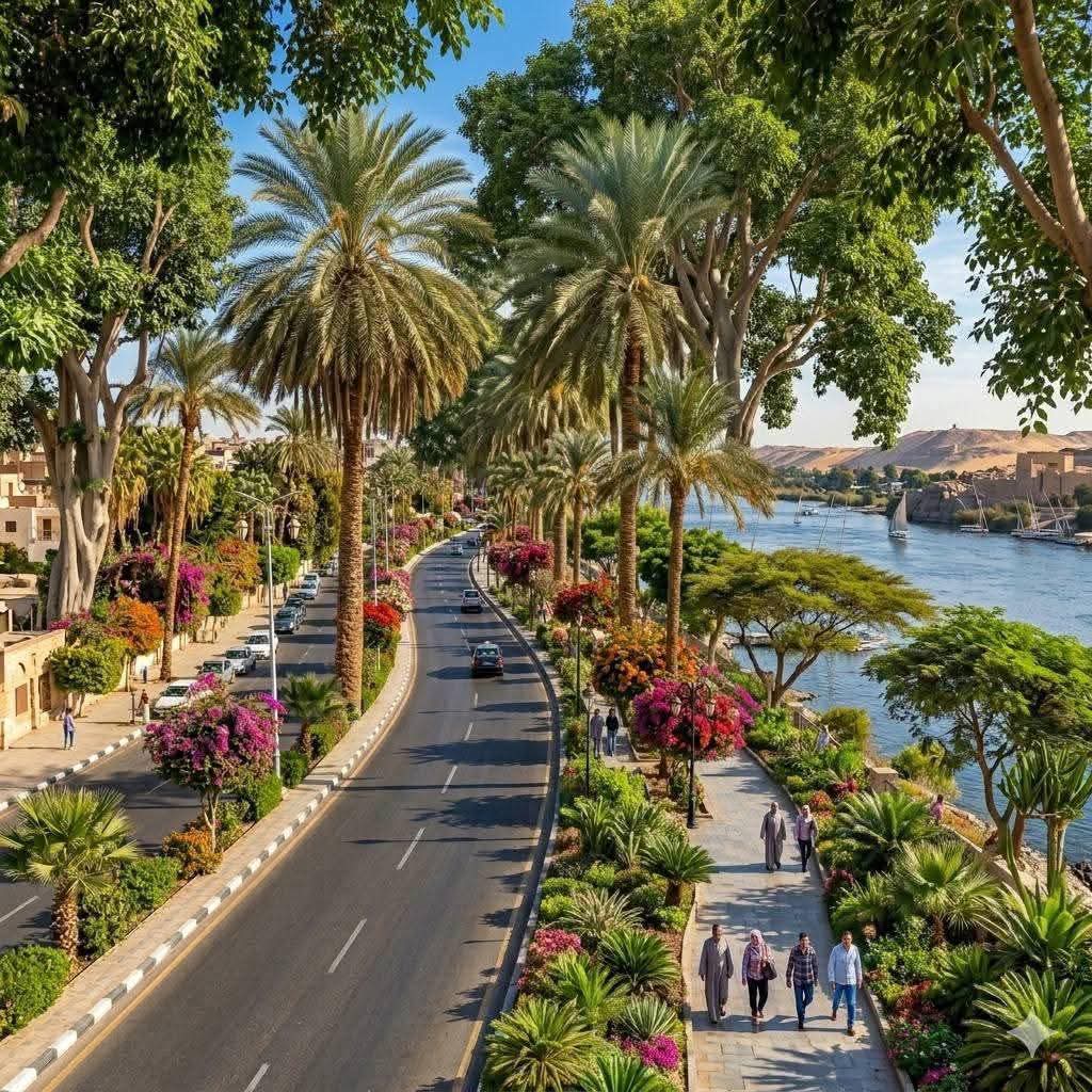 NABEEL ALHAMER tweet media