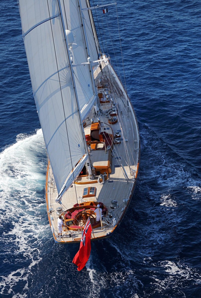 archistar tweet media