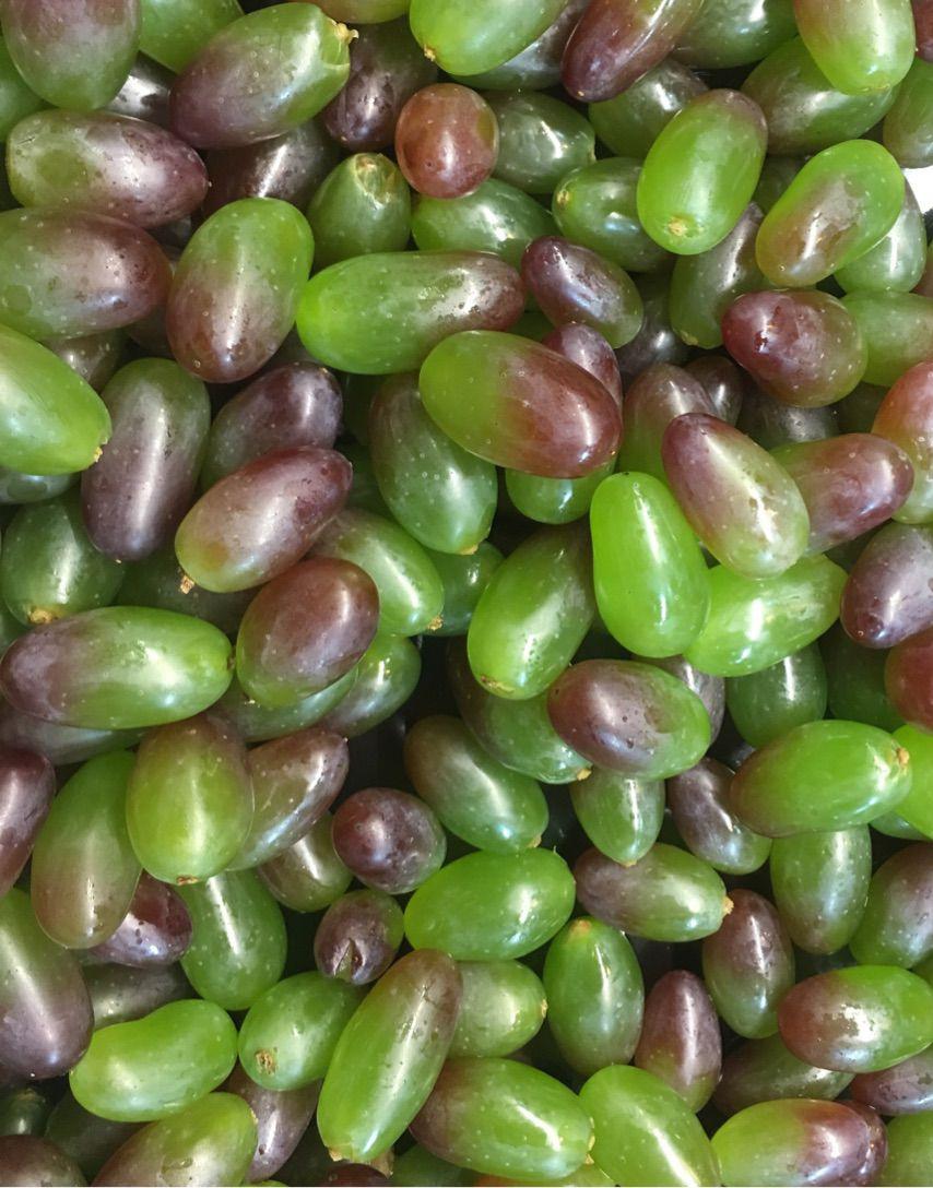 Rika Blank tweet media