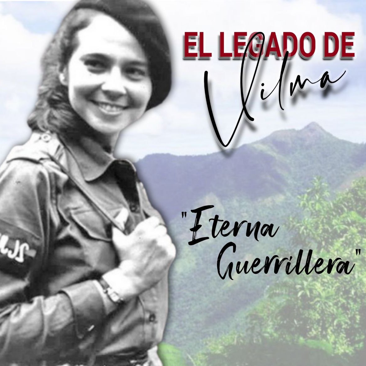 SERVAC S.A. Servicios a la Aviación Civil tweet media