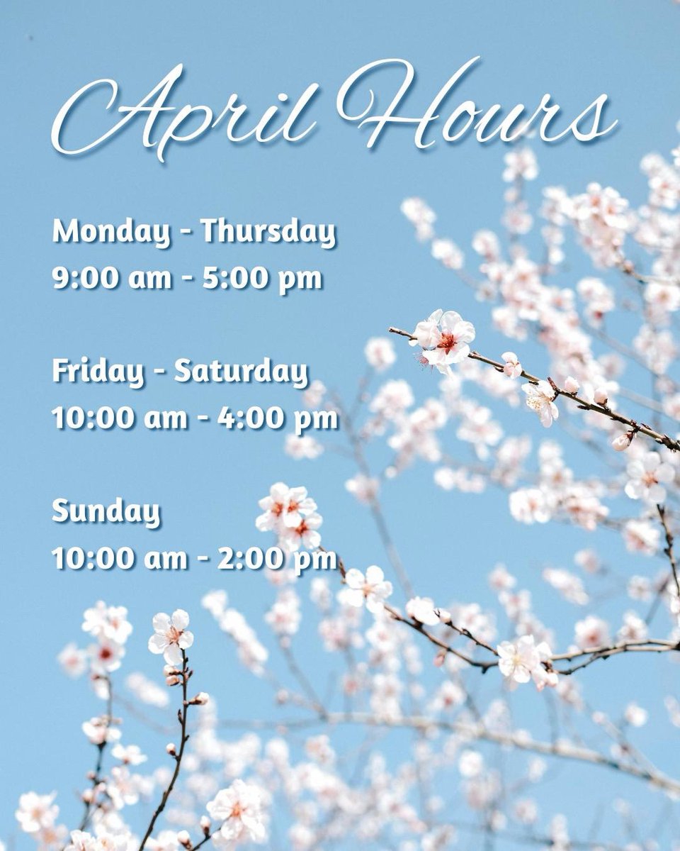 ParadisPools's tweet photo. 🌸 April Hours Spring is HERE and we can’t wait to see you! 🌸 https://t.co/0KD1IsofvC