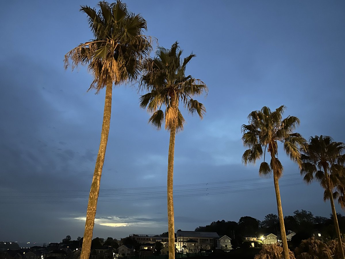 あるがままのミック ⚠️🚫NO DM⚠️ tweet media