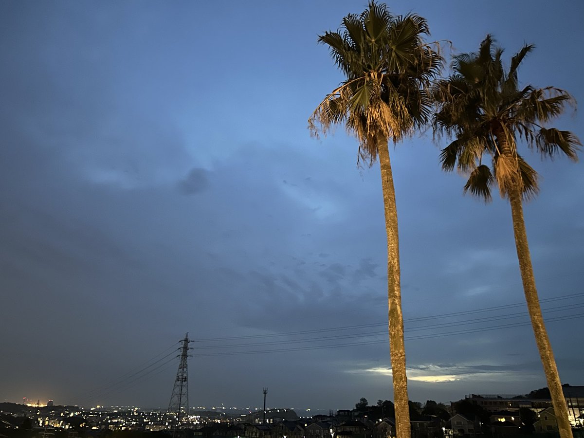 あるがままのミック ⚠️🚫NO DM⚠️ tweet media