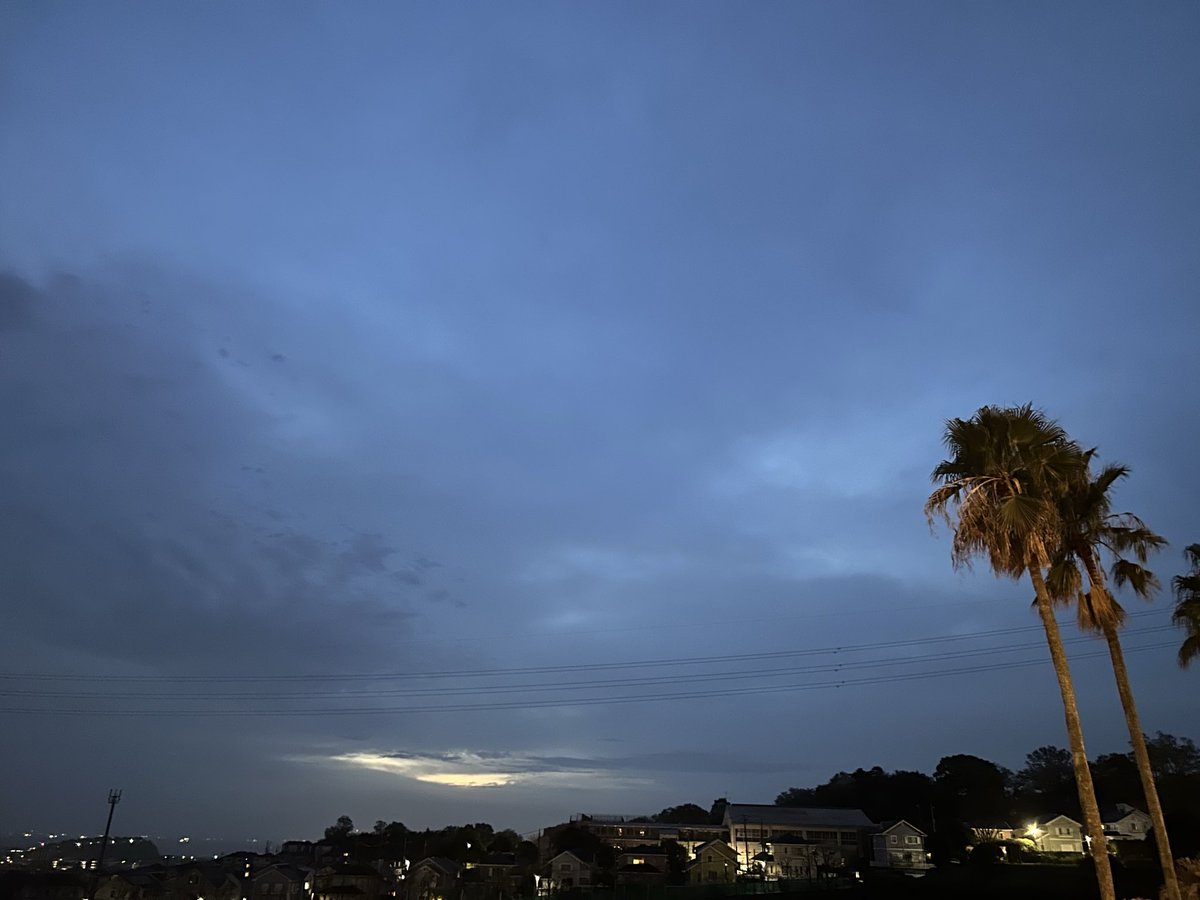 あるがままのミック ⚠️🚫NO DM⚠️ tweet media