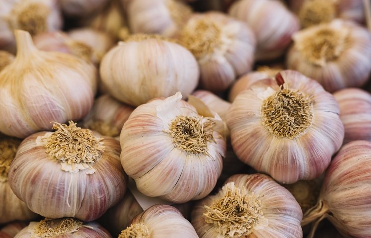 Sil🇵🇸🏳️‍🌈🛰️ #AgoraGalizaAgora tweet media