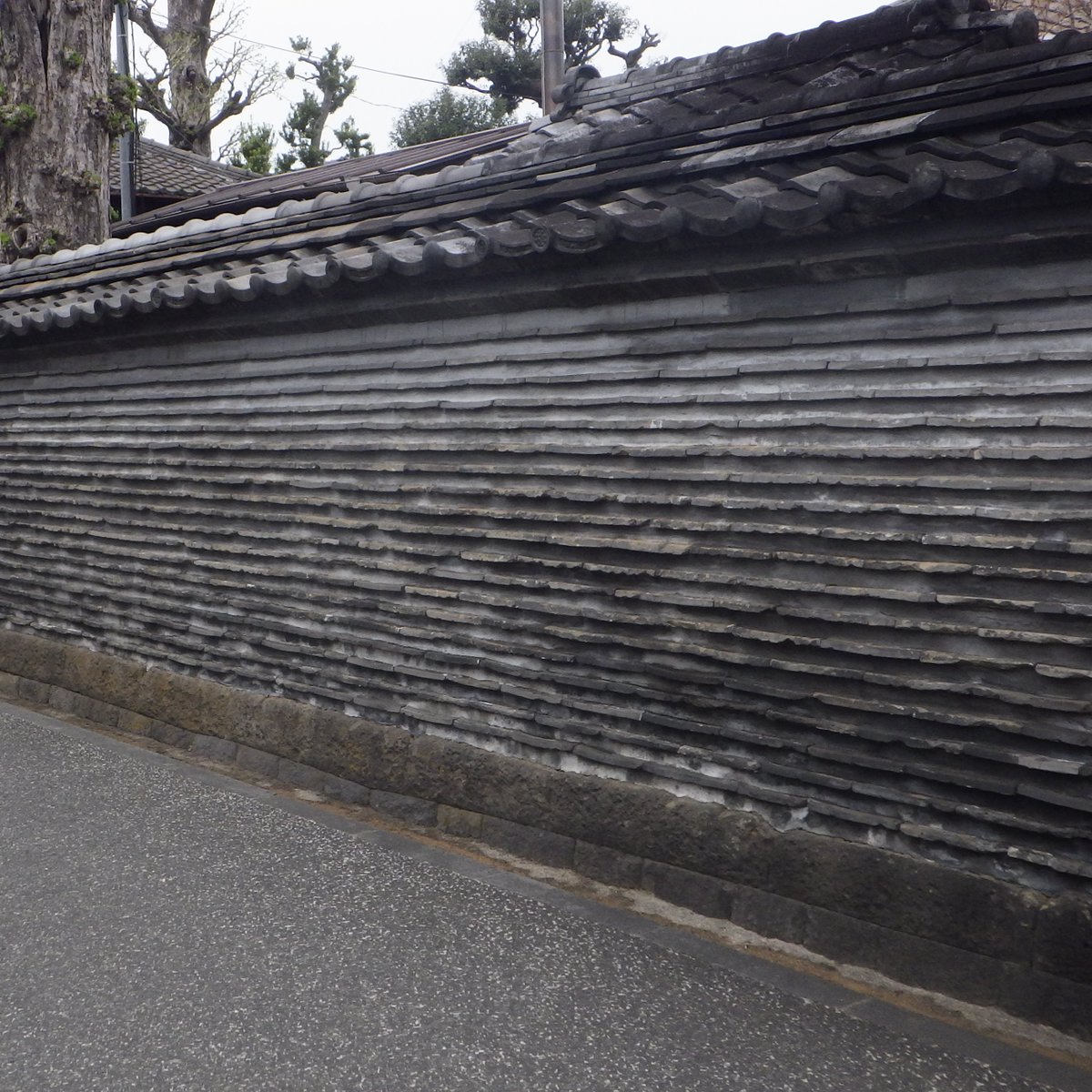 はら あきば │ 写真が好き │ 写真芸人 │ 私の撮った写真 tweet media