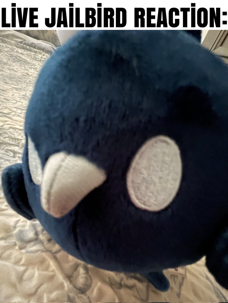 A_Random_Dirt_Block tweet media