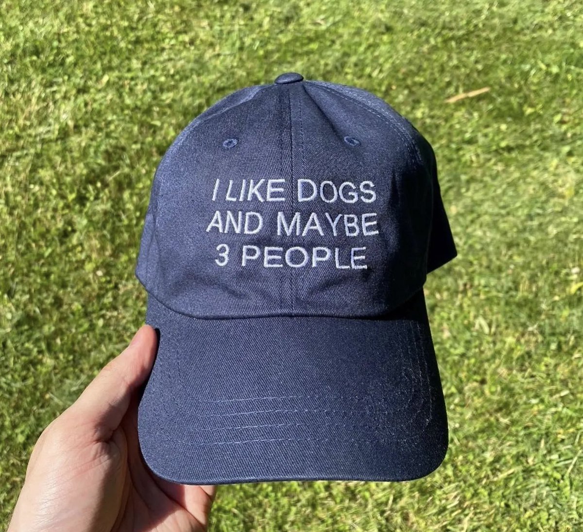 Introvert Problems tweet media