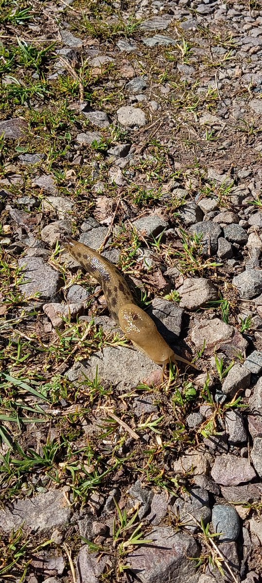 Morally Flexable tweet media