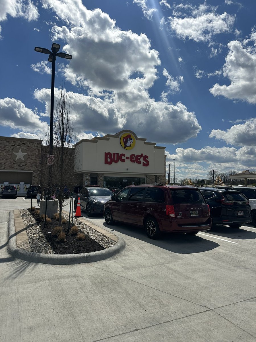 The Bear tweet media