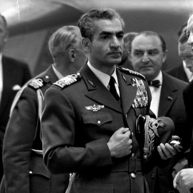 🦩فلامینگو tweet media