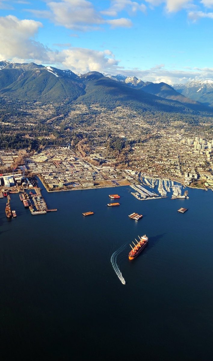 TrafficTrish 🚁 tweet media