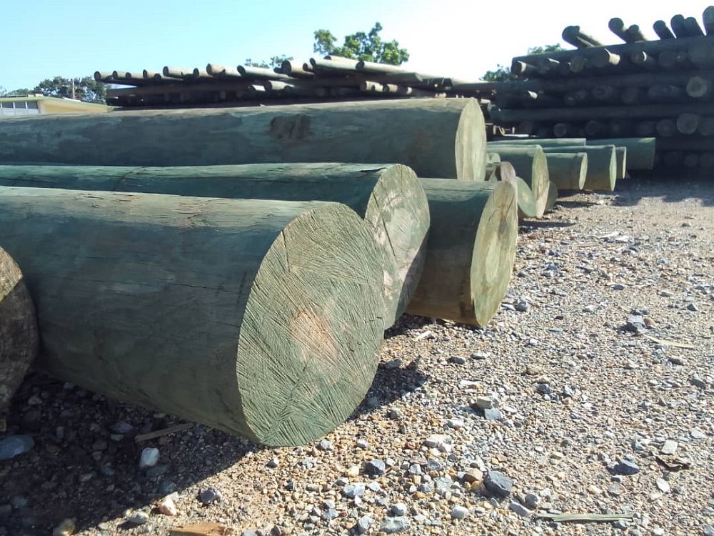 Eumelin González Sánchez tweet media