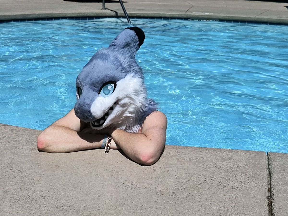 Trouty🔜LVFC tweet media