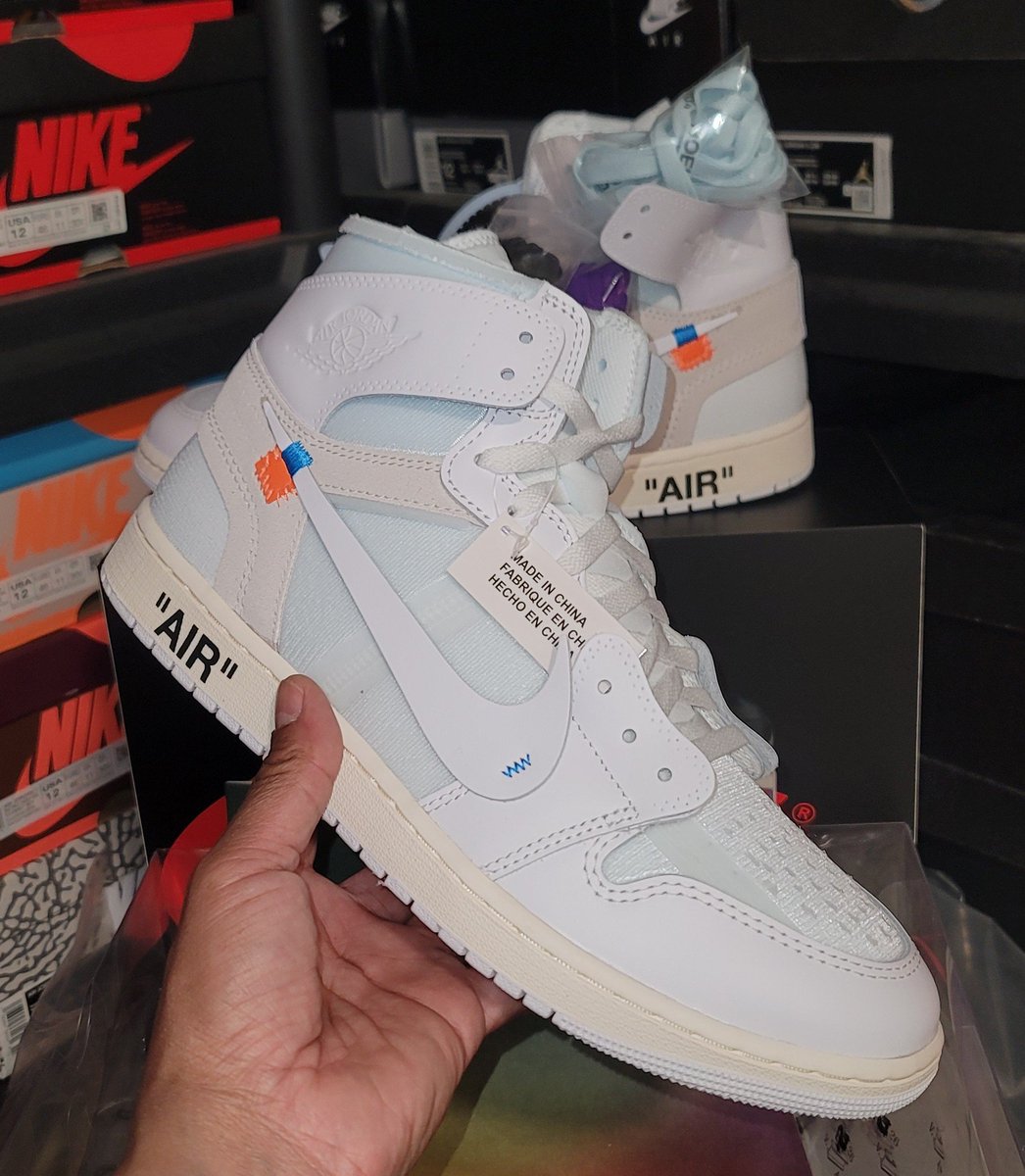 Lexx Da Turtle tweet media