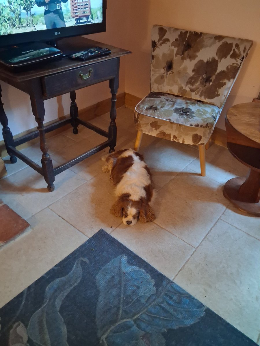 Dog Walker & Pub Lunches & Garden Smoker. Millwall tweet media