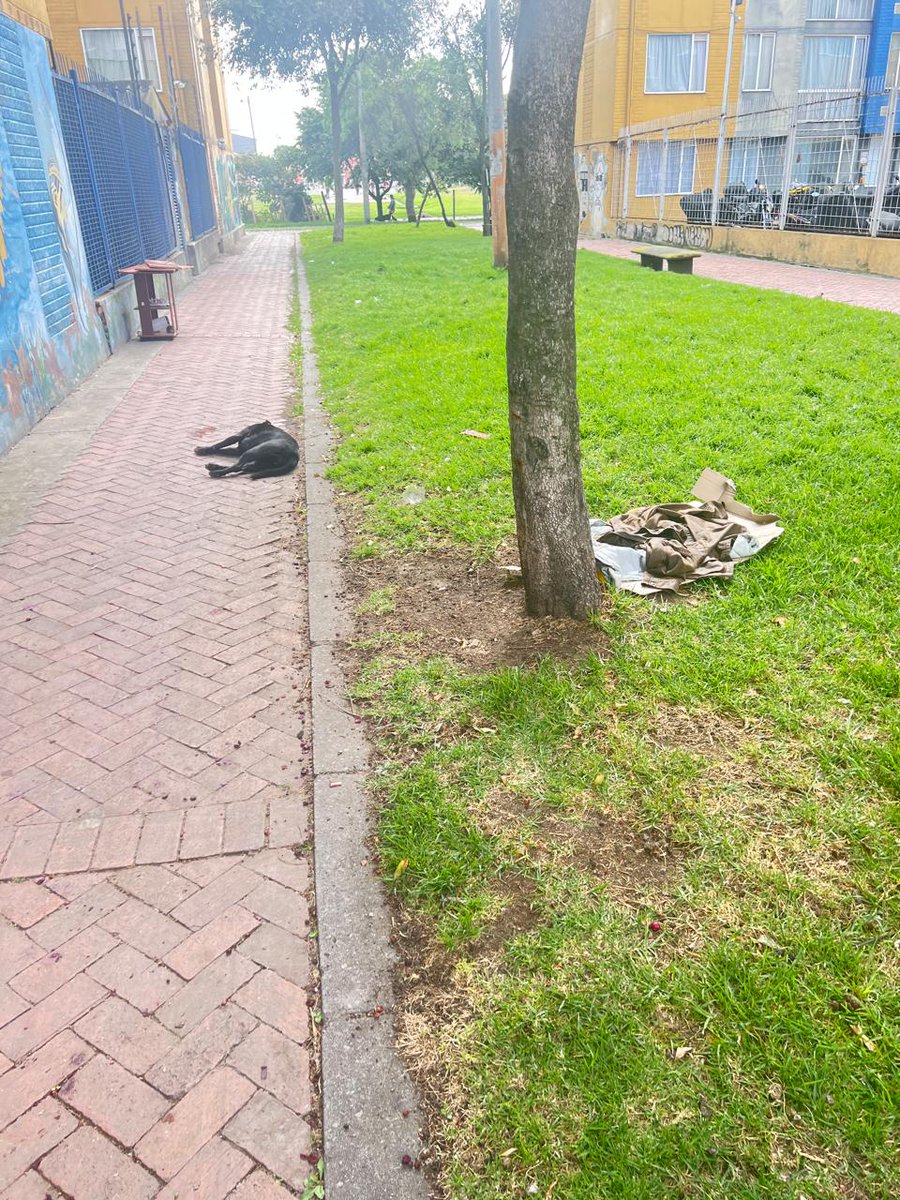 Pasa en Bogotá | Sr Bacca🐮 tweet media