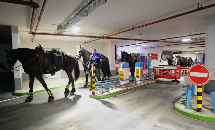 Gabriel Yerushalmi 🇮🇱 tweet media