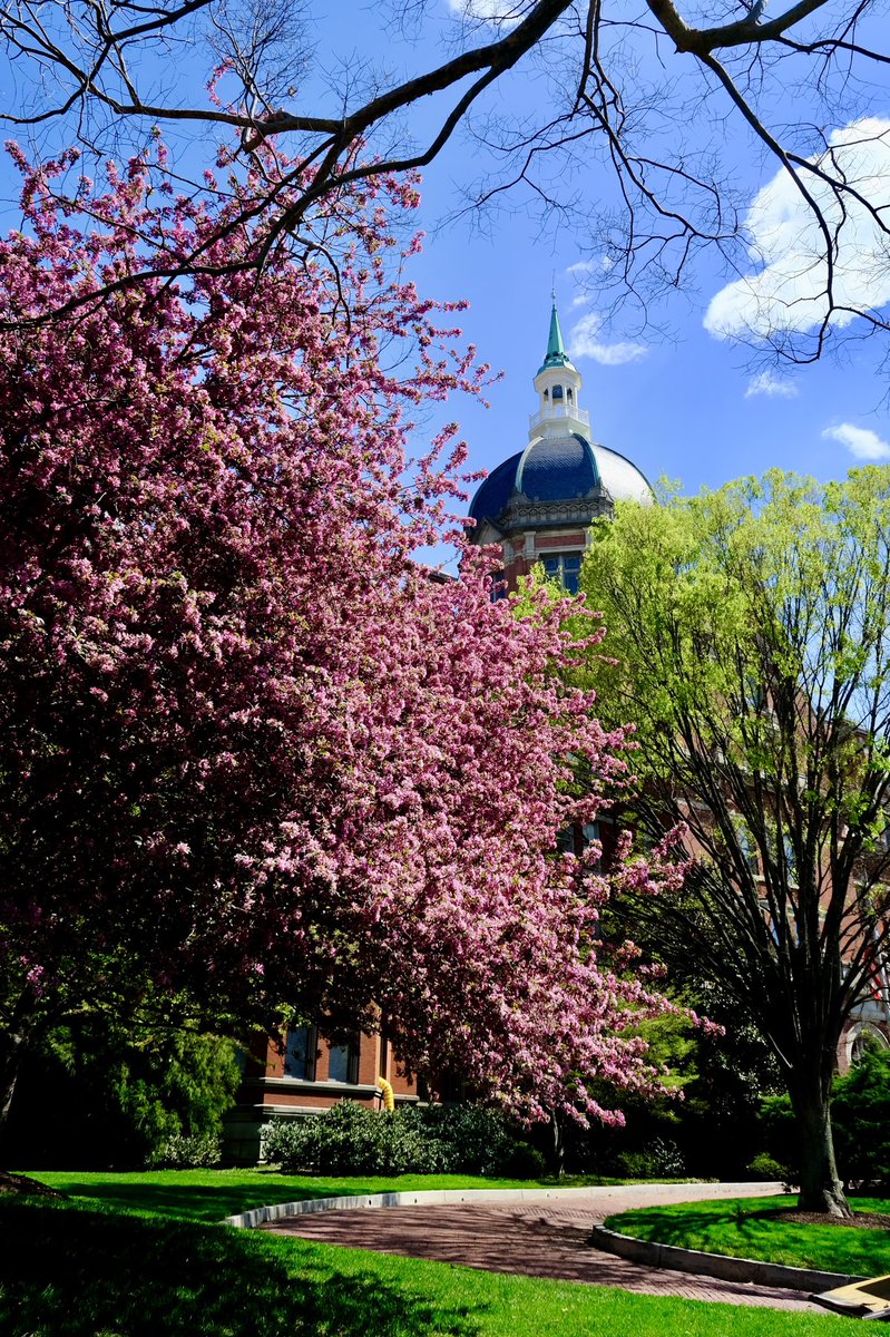 Syed Z. Ali tweet media