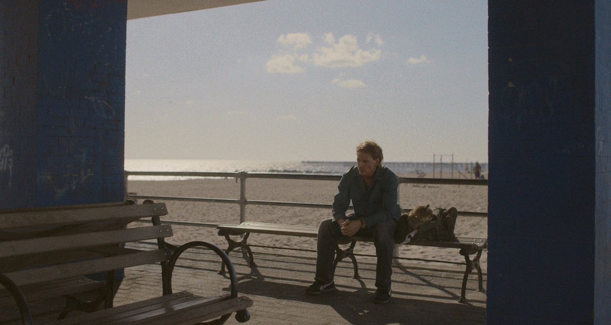 سكارف tweet media