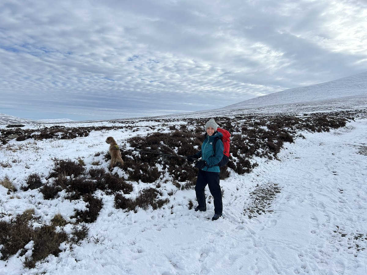 James Phillips tweet media