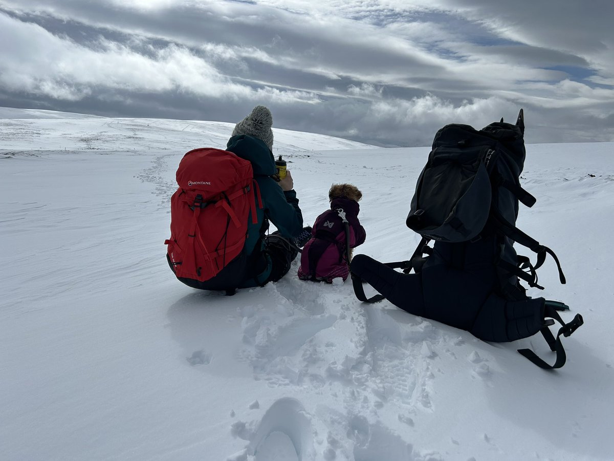 James Phillips tweet media