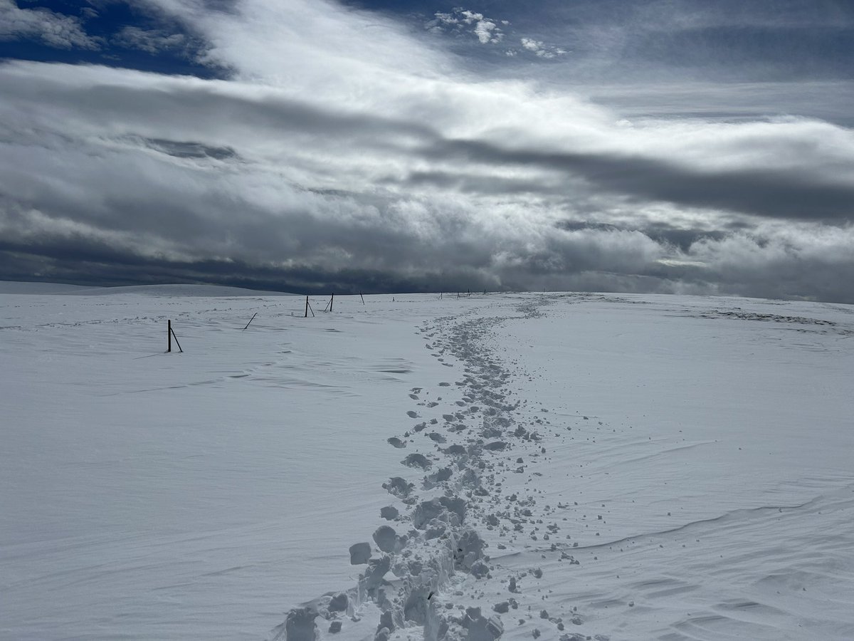 James Phillips tweet media