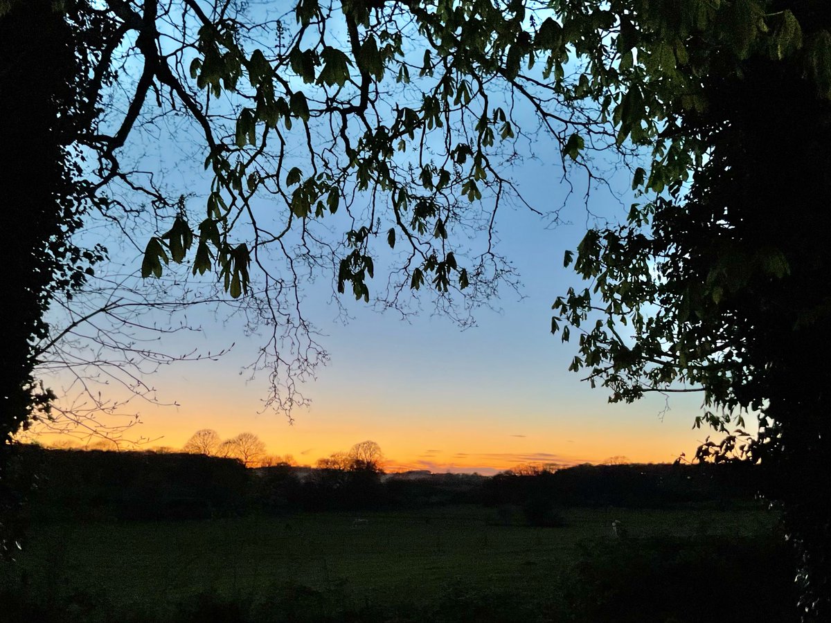 skylark22BHC1's tweet image. As the sun disappeared over the last 45 minutes … after a beautiful day. #keston #myview #bankholidaymonday #loveukweather @metoffice @bbcweather @SallyWeather @ChrisPage90