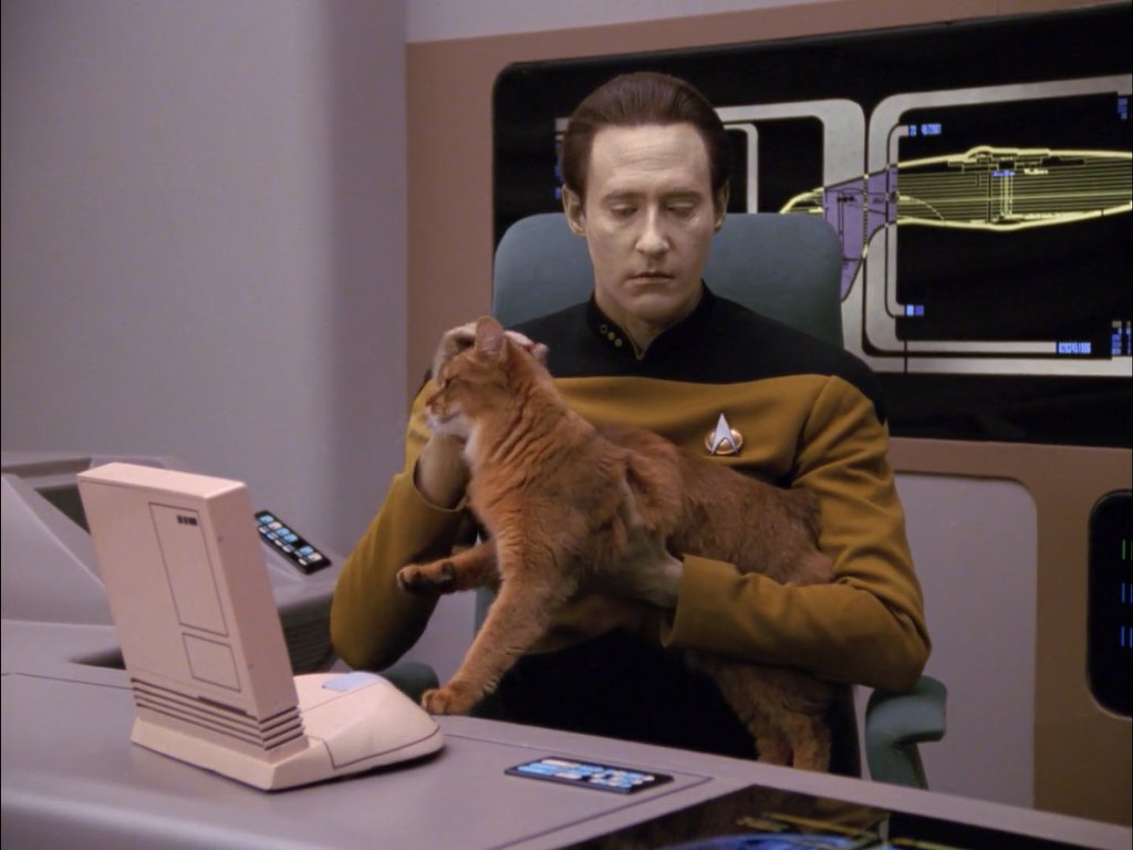 KIᗰᗷOT 🤖 tweet media