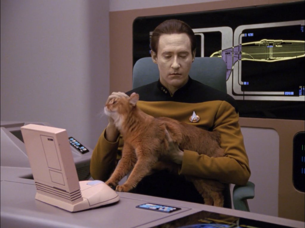 KIᗰᗷOT 🤖 tweet media