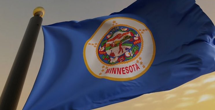 Minnesota Lady America First🇺🇸 tweet media