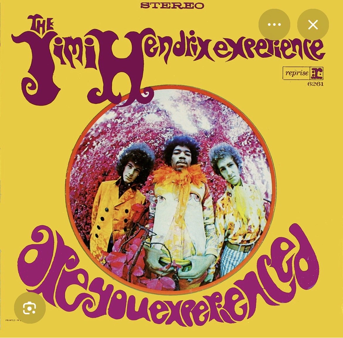 Guitarbizon tweet media