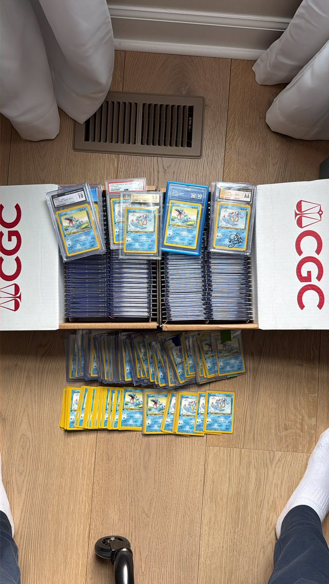 Totodile King tweet media
