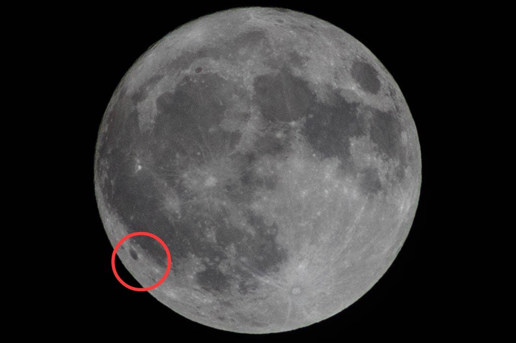 The Truth tweet media