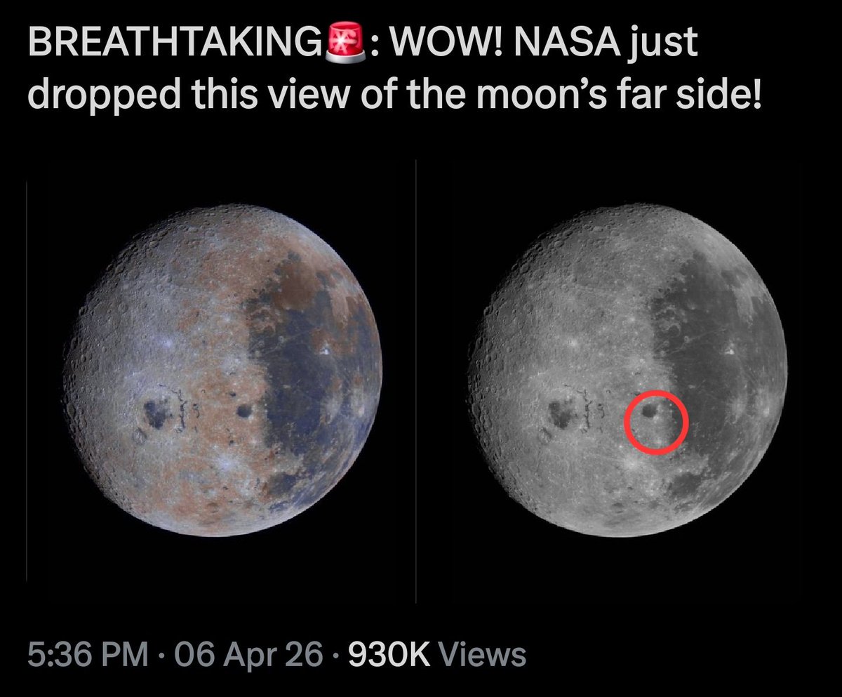 The Truth tweet media