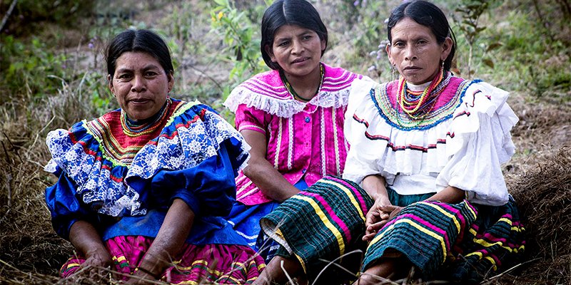 New theorem tweet media