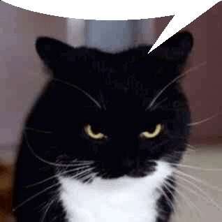 Kitsune_Bot tweet media