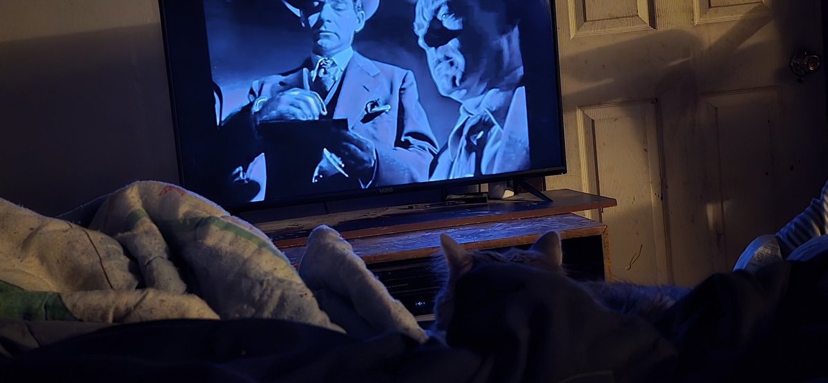 Cynthia J. Simmons tweet media