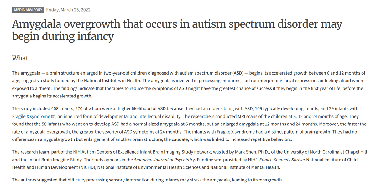 eru 🌙 tweet media