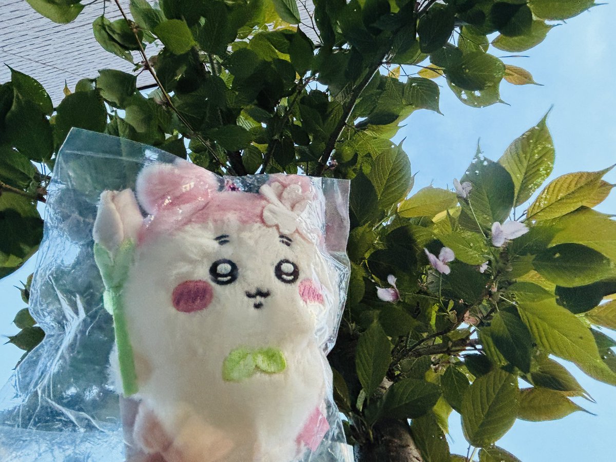 こまり tweet media