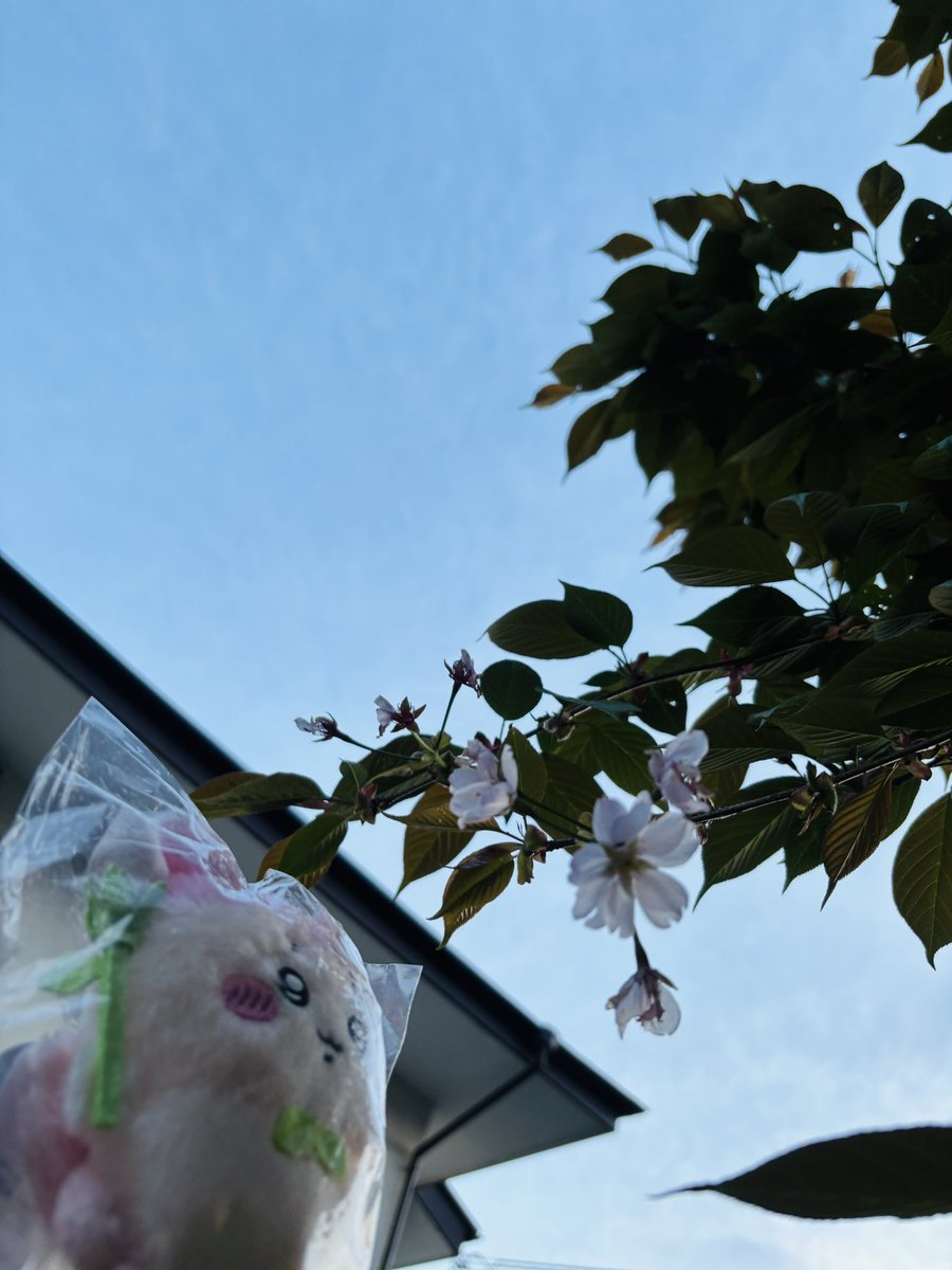 こまり tweet media