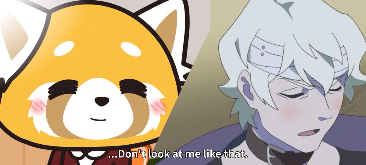 🩷 the cooler paz 🩷 tweet media