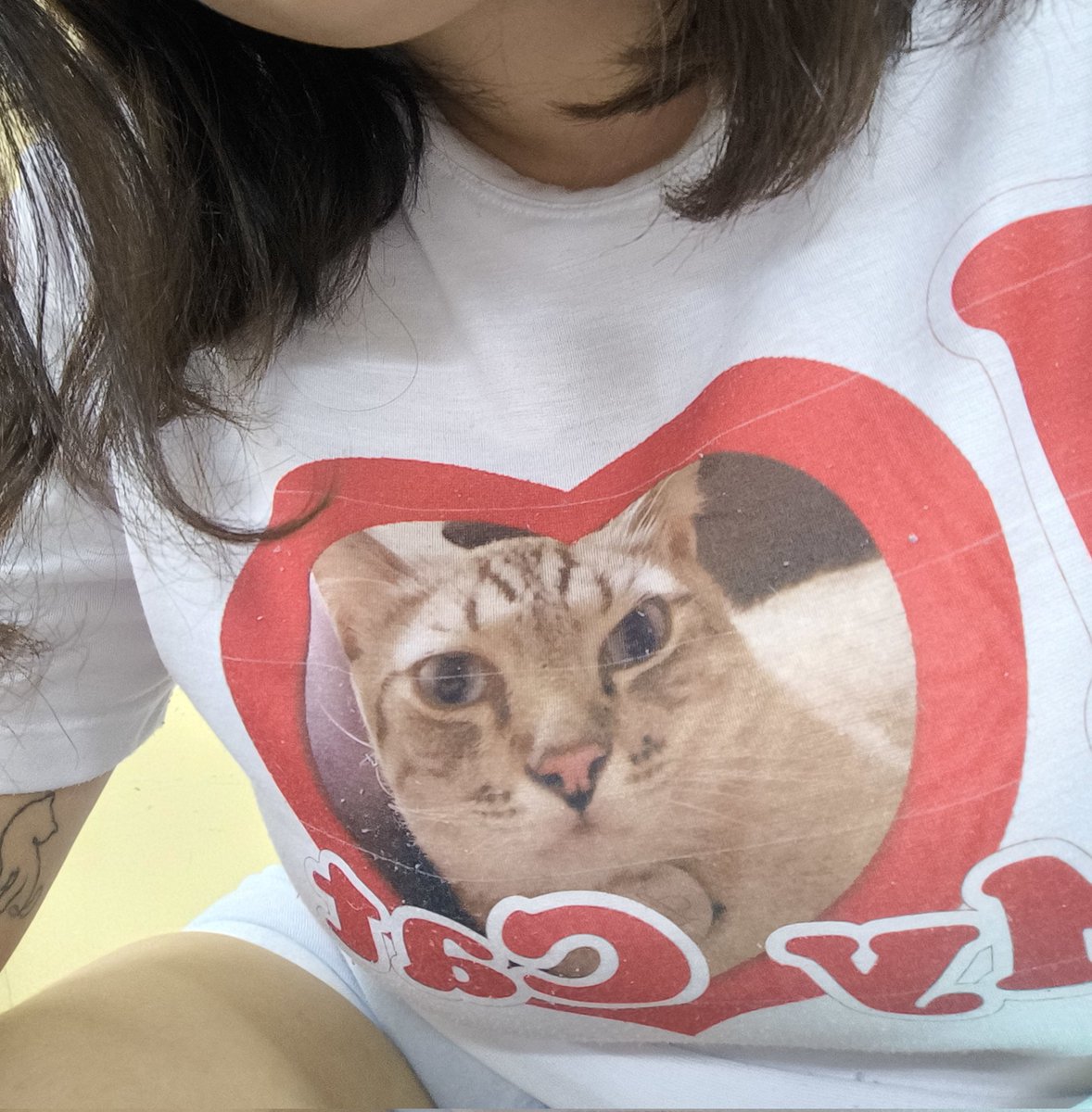 renjun da silva tweet media