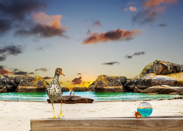 Crystal Geurin tweet media