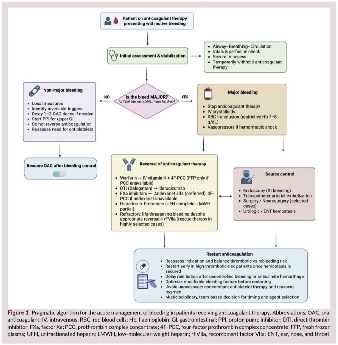 Dr. FEVI🫀🩺 tweet media