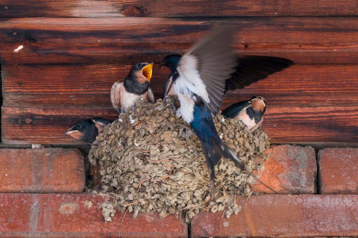 SCIENCE FACTORY ltd. tweet media