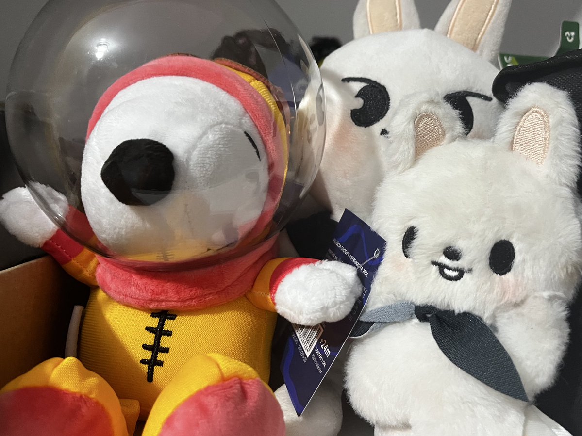 linosnopy's tweet image. #gang #swag