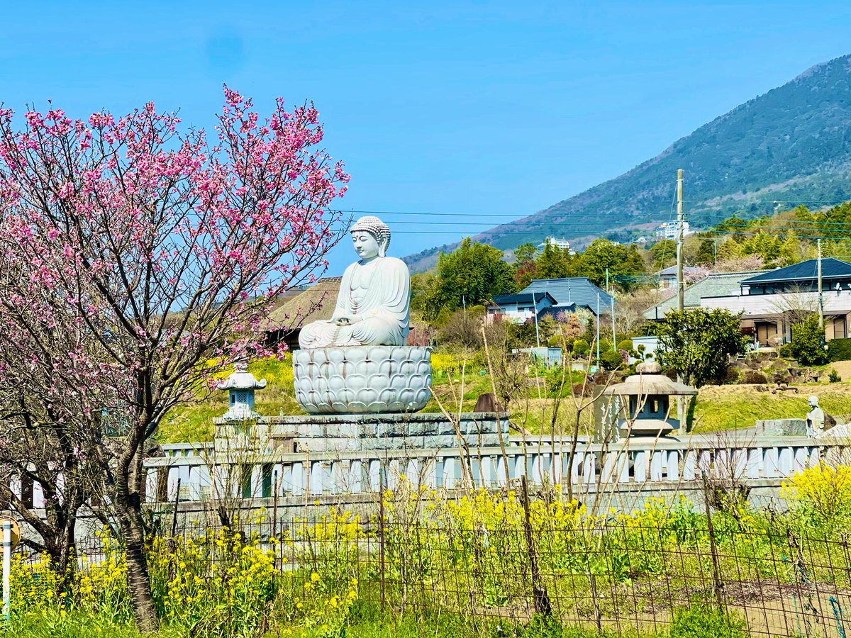 瑠璃香蘭 tweet media